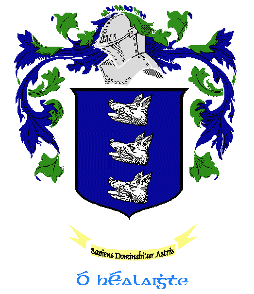 Healy Coat of Arms!